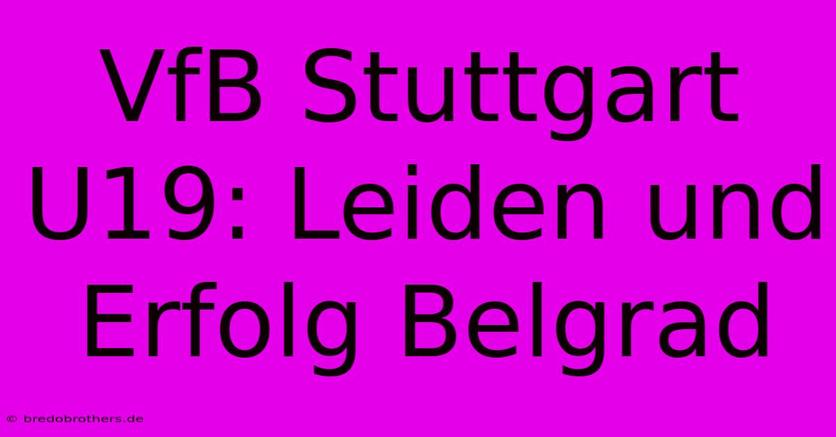 VfB Stuttgart U19: Leiden Und Erfolg Belgrad