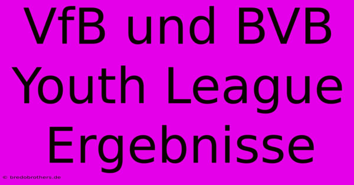 VfB Und BVB Youth League Ergebnisse