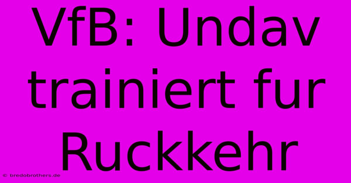 VfB: Undav Trainiert Fur Ruckkehr