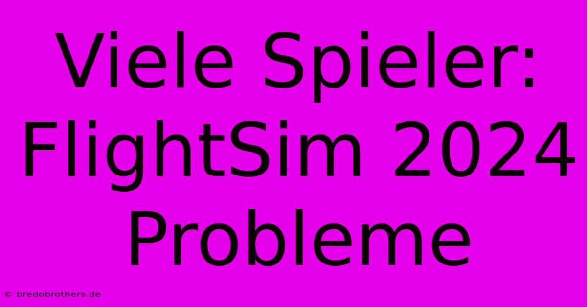 Viele Spieler: FlightSim 2024 Probleme