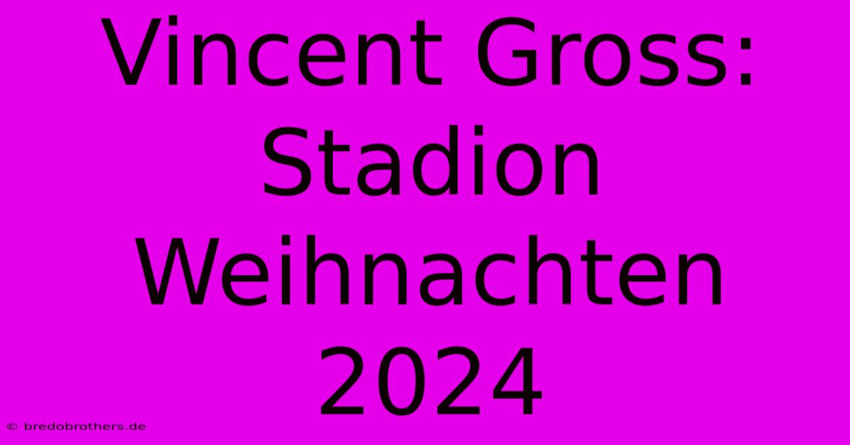 Vincent Gross: Stadion Weihnachten 2024