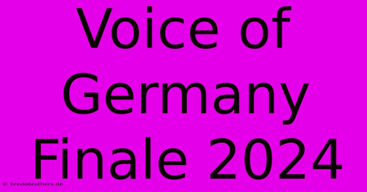 Voice Of Germany Finale 2024