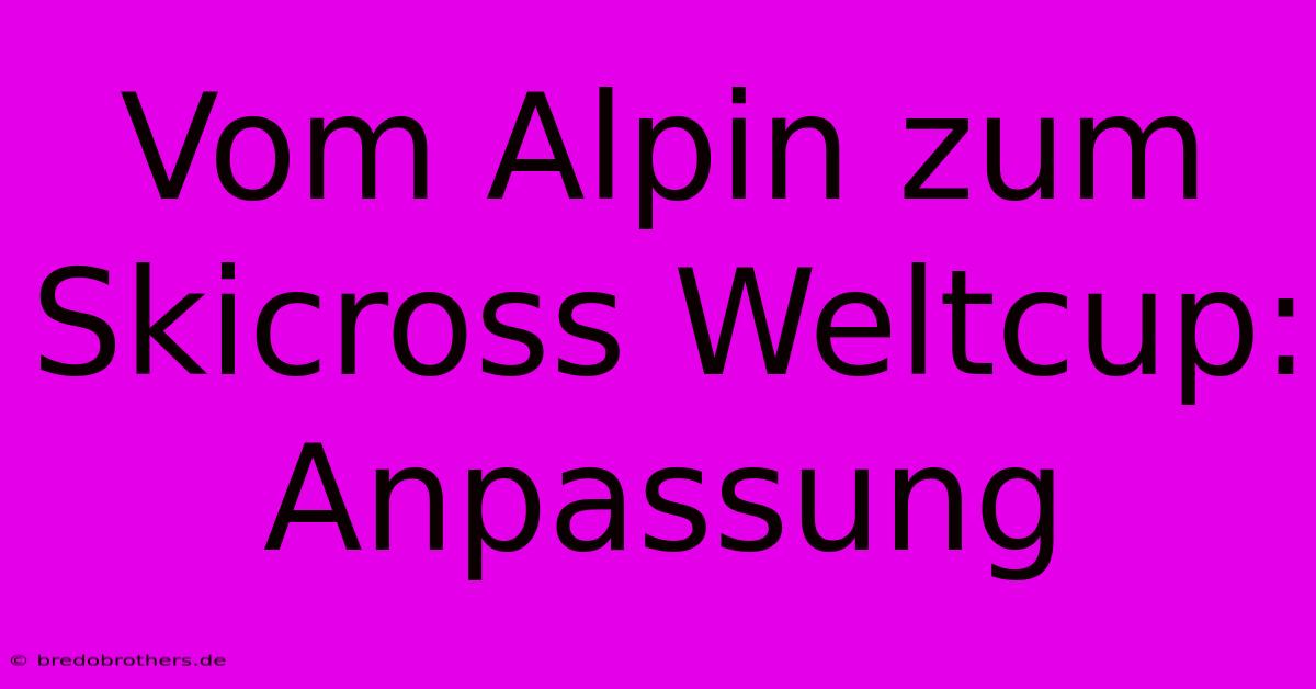 Vom Alpin Zum Skicross Weltcup: Anpassung