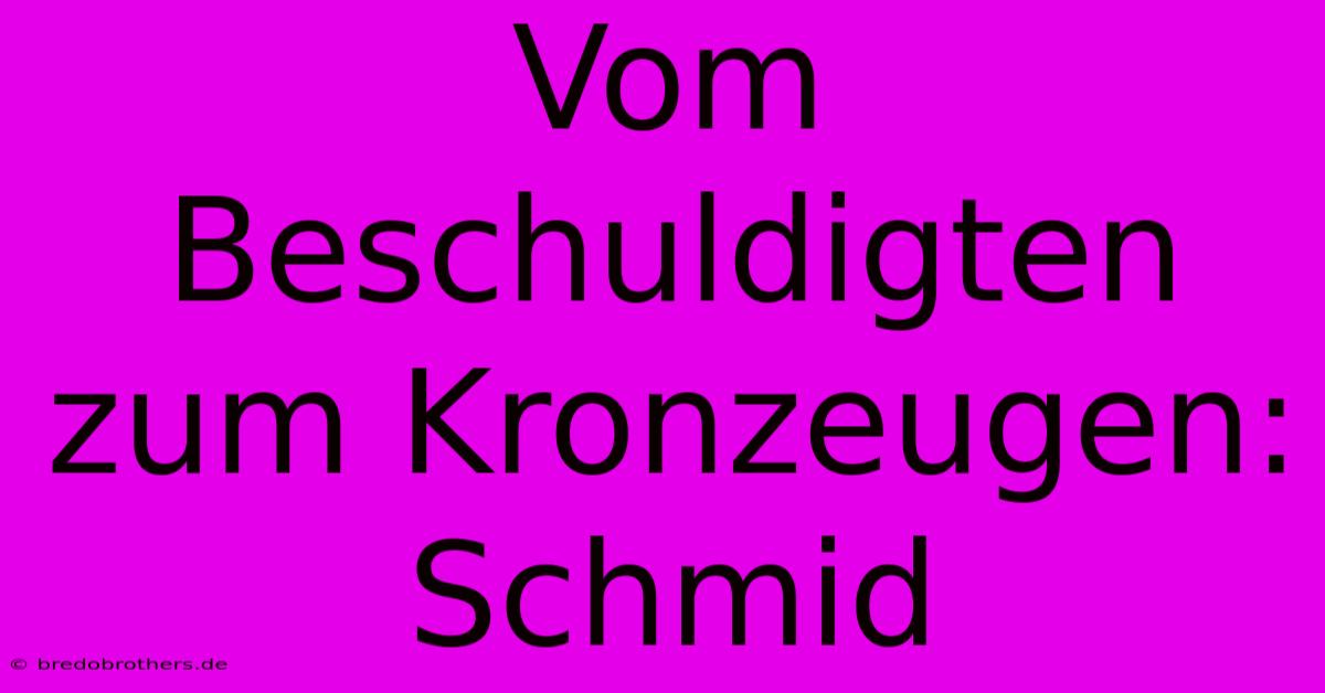 Vom Beschuldigten Zum Kronzeugen: Schmid