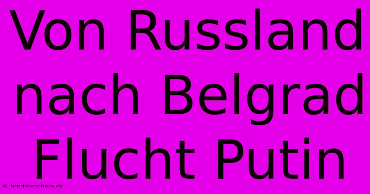 Von Russland Nach Belgrad Flucht Putin