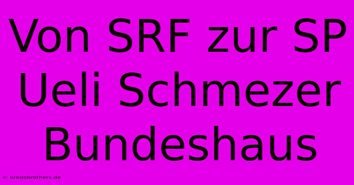 Von SRF Zur SP Ueli Schmezer Bundeshaus