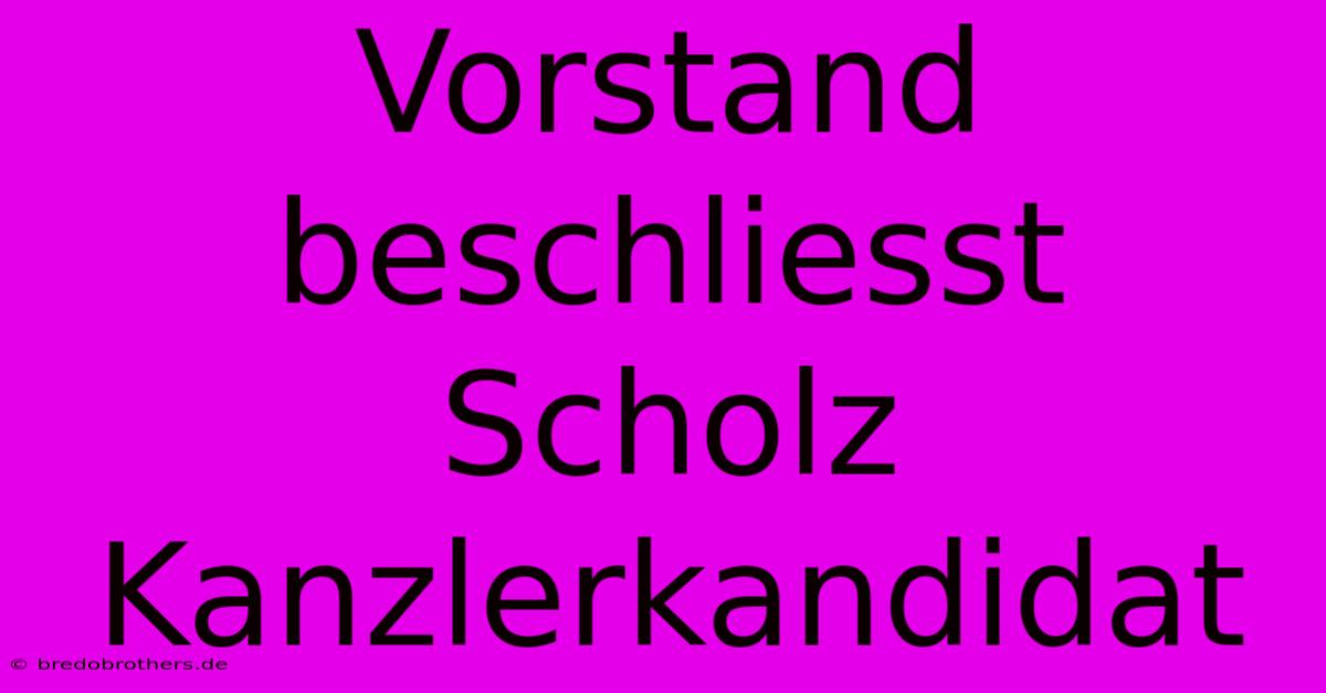 Vorstand Beschliesst Scholz Kanzlerkandidat