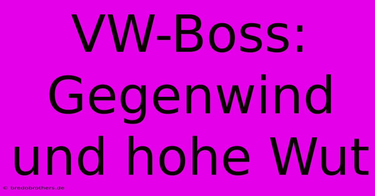 VW-Boss: Gegenwind Und Hohe Wut