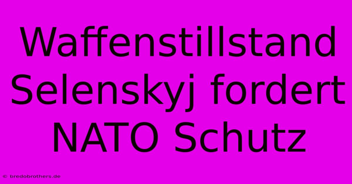 Waffenstillstand Selenskyj Fordert NATO Schutz