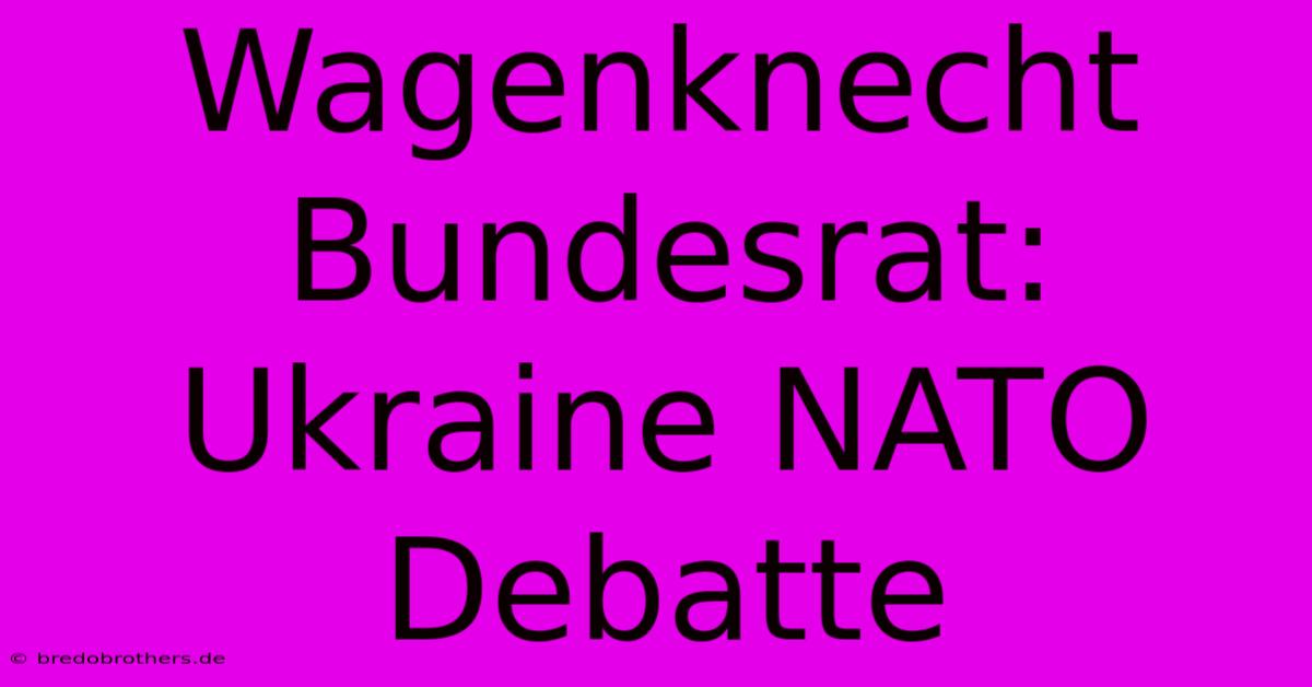 Wagenknecht Bundesrat: Ukraine NATO Debatte