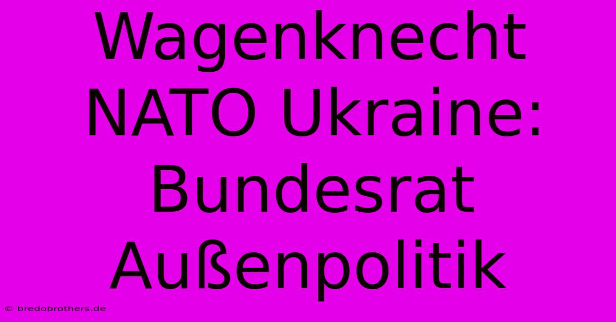 Wagenknecht NATO Ukraine: Bundesrat Außenpolitik