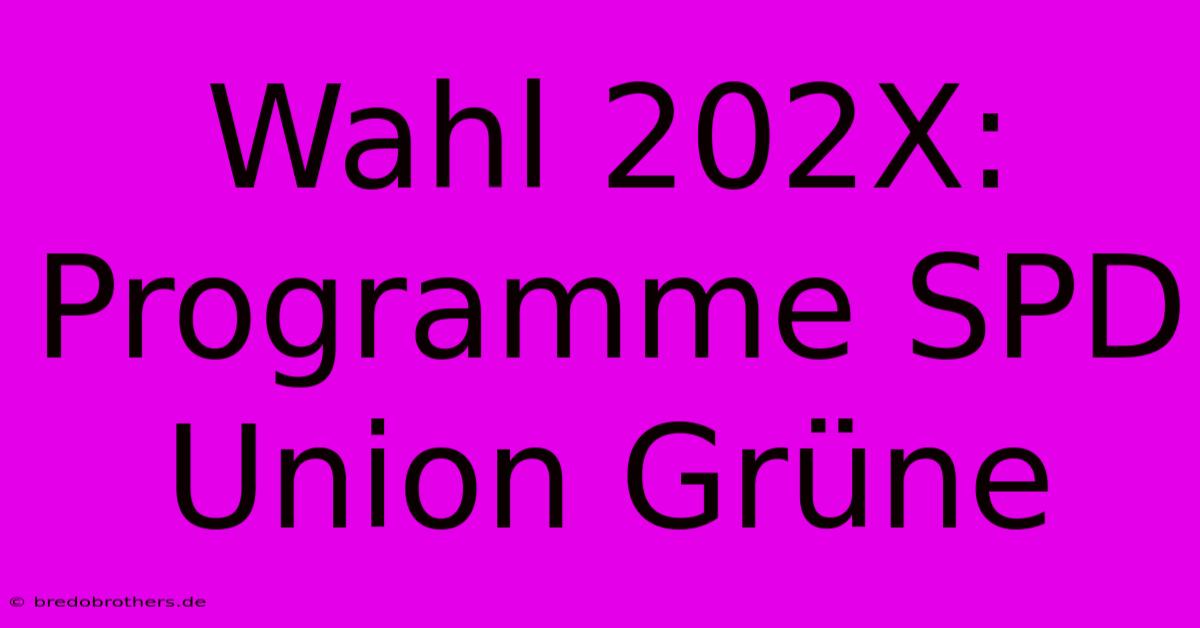 Wahl 202X: Programme SPD Union Grüne