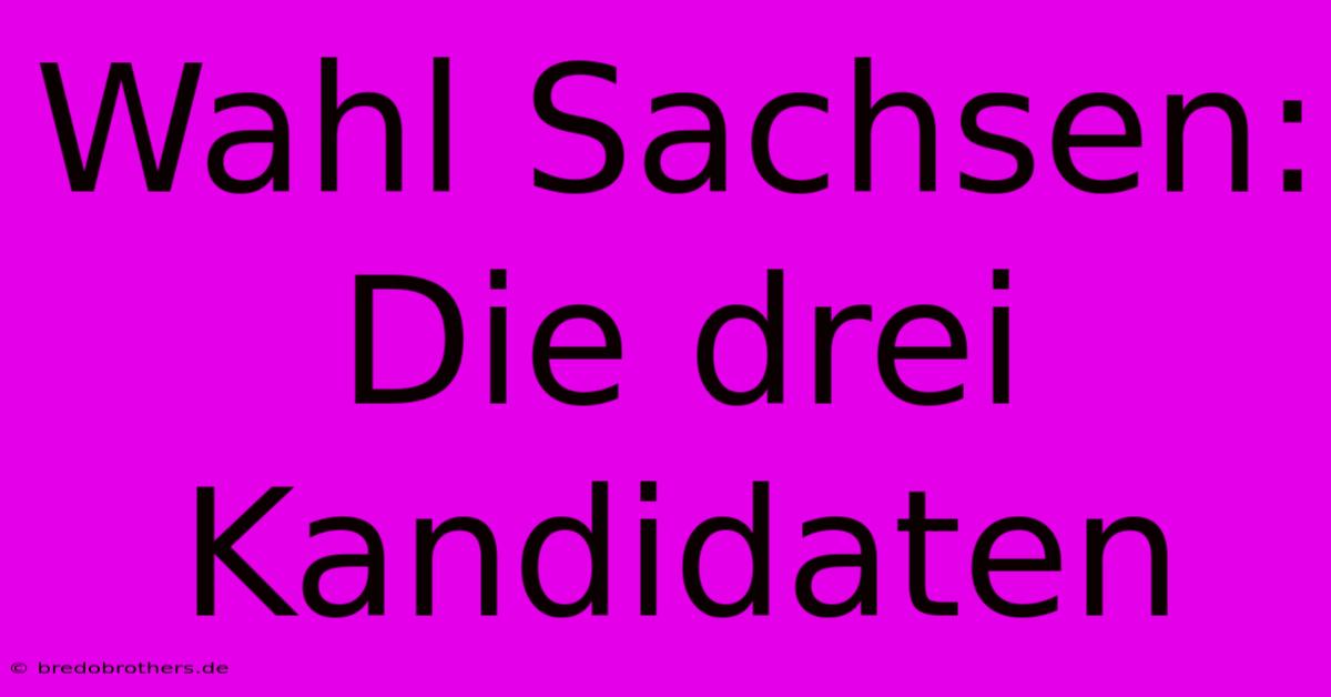 Wahl Sachsen: Die Drei Kandidaten