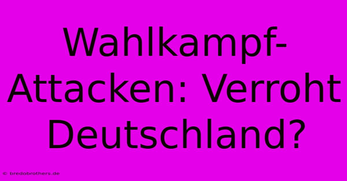 Wahlkampf-Attacken: Verroht Deutschland?