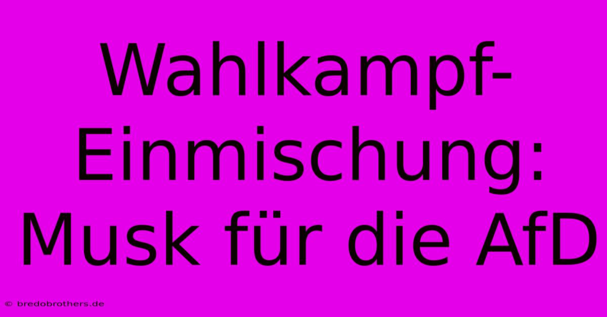 Wahlkampf-Einmischung: Musk Für Die AfD