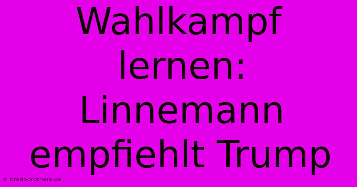 Wahlkampf Lernen: Linnemann Empfiehlt Trump