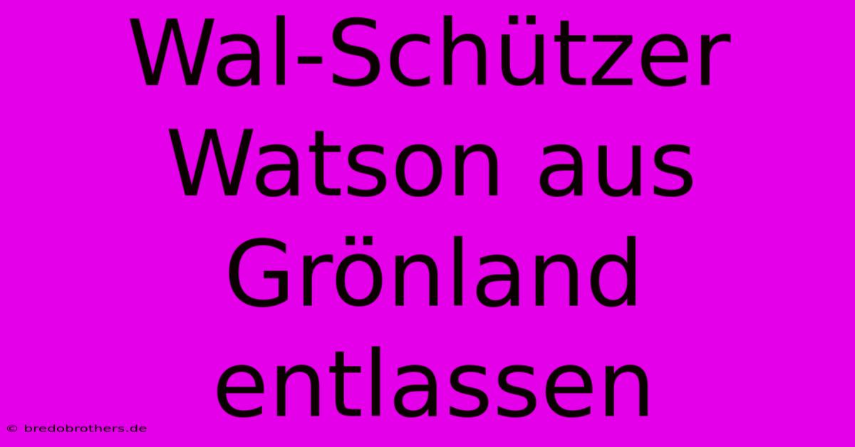 Wal-Schützer Watson Aus Grönland Entlassen