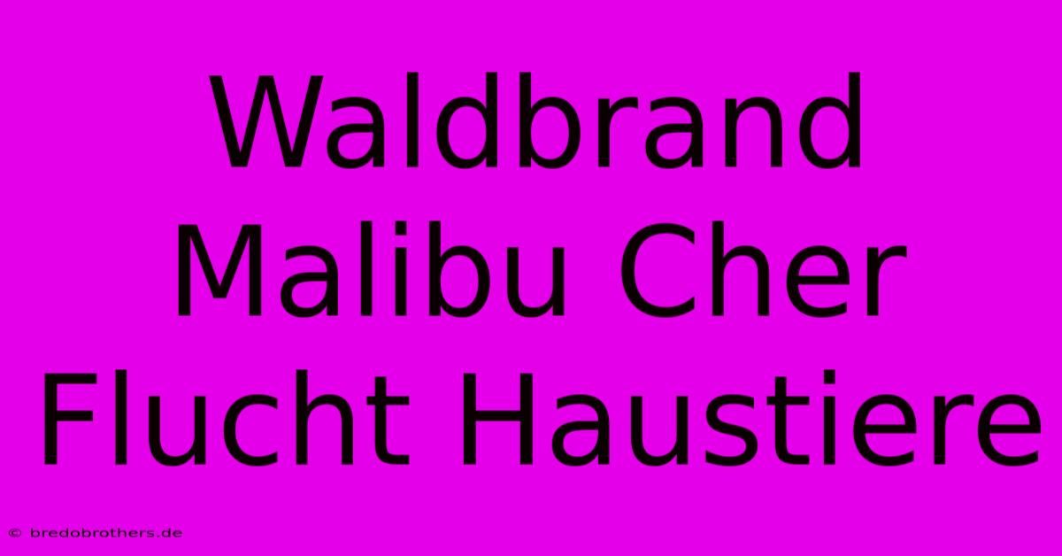 Waldbrand Malibu Cher Flucht Haustiere