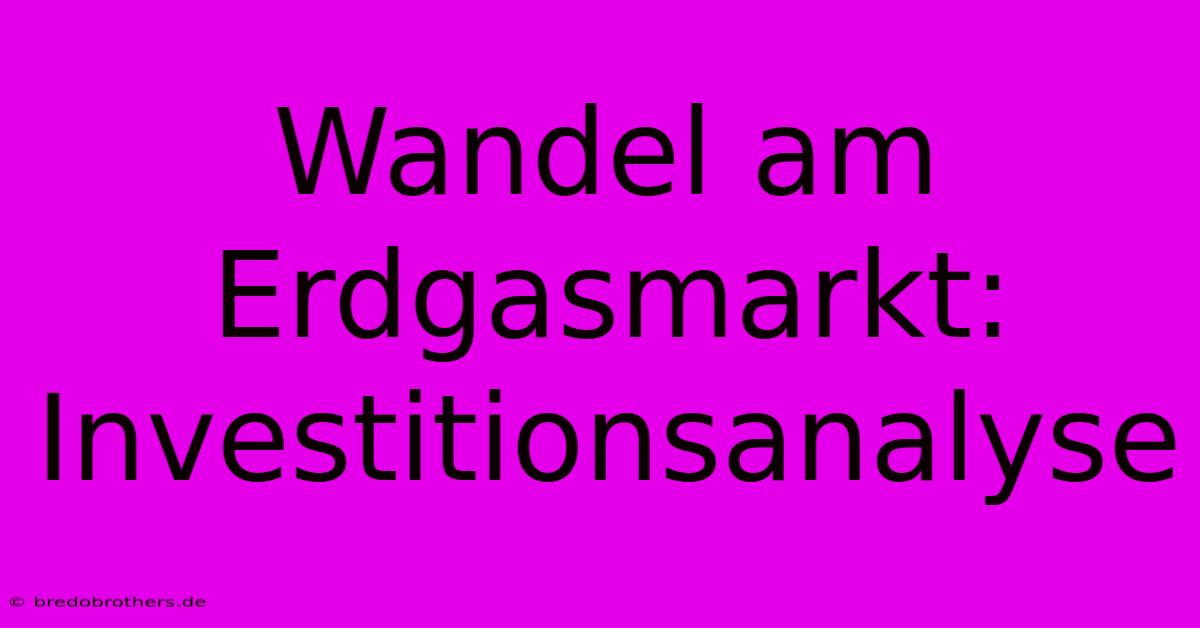 Wandel Am Erdgasmarkt: Investitionsanalyse