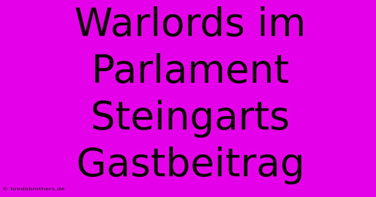 Warlords Im Parlament Steingarts Gastbeitrag