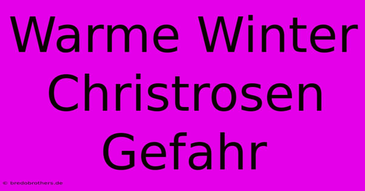 Warme Winter Christrosen Gefahr