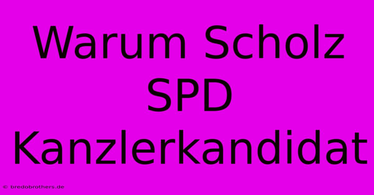 Warum Scholz SPD Kanzlerkandidat