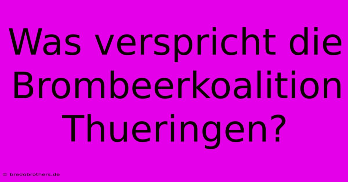 Was Verspricht Die Brombeerkoalition Thueringen?