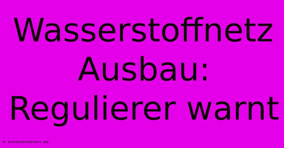 Wasserstoffnetz Ausbau: Regulierer Warnt