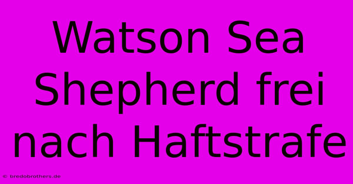 Watson Sea Shepherd Frei Nach Haftstrafe