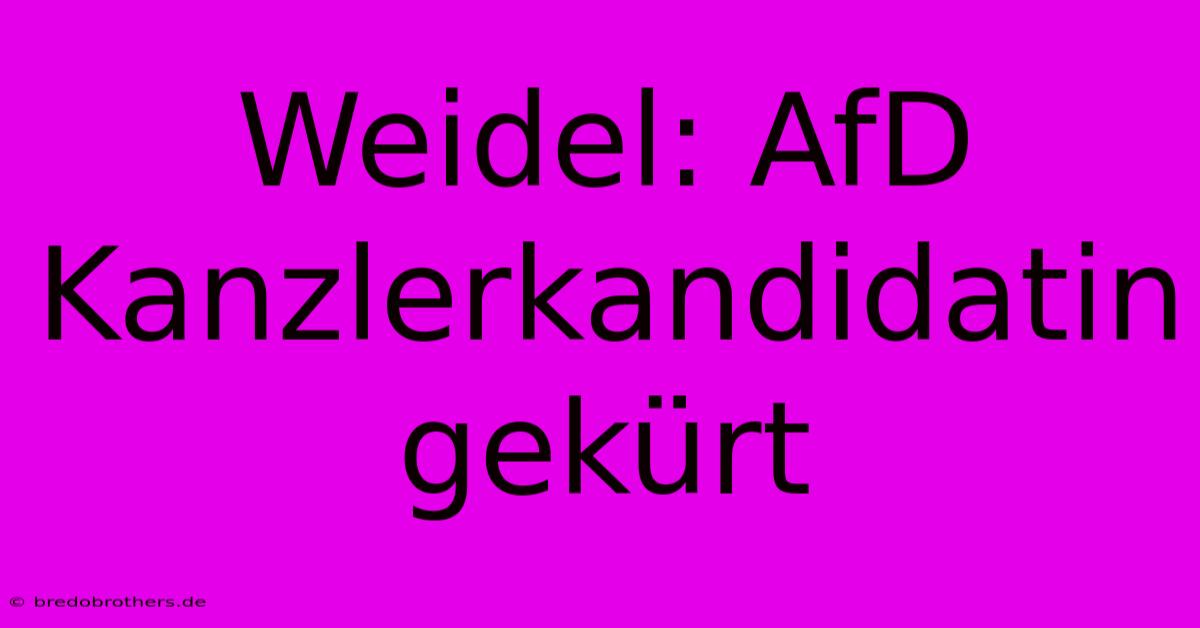 Weidel: AfD Kanzlerkandidatin Gekürt