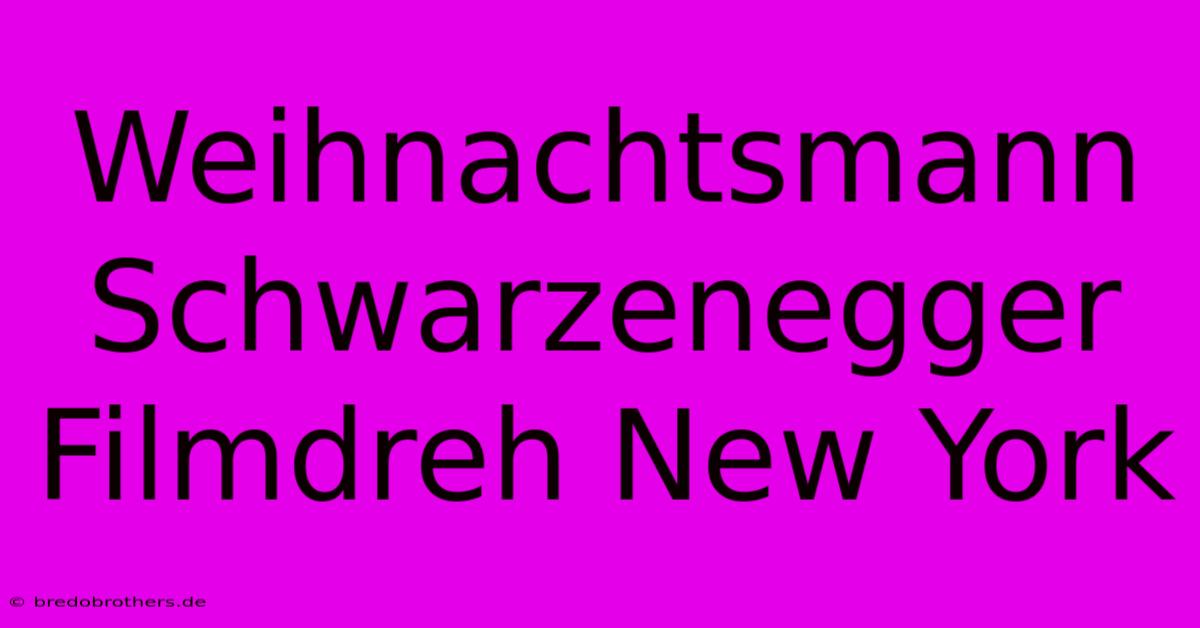 Weihnachtsmann Schwarzenegger Filmdreh New York