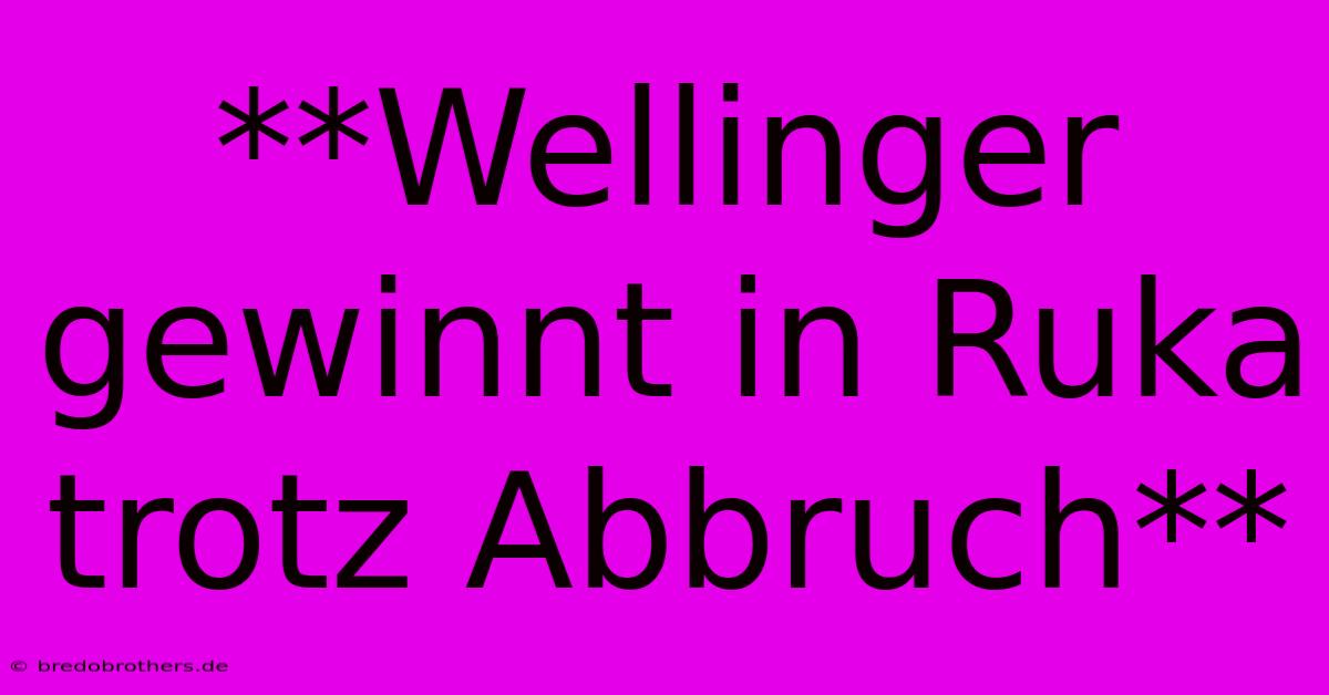 **Wellinger Gewinnt In Ruka Trotz Abbruch**