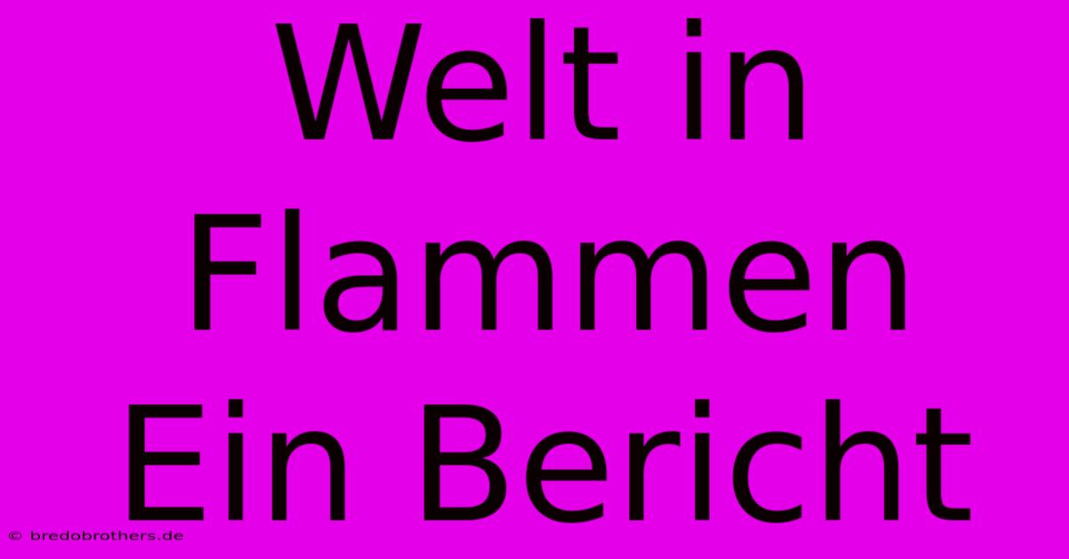 Welt In Flammen  Ein Bericht