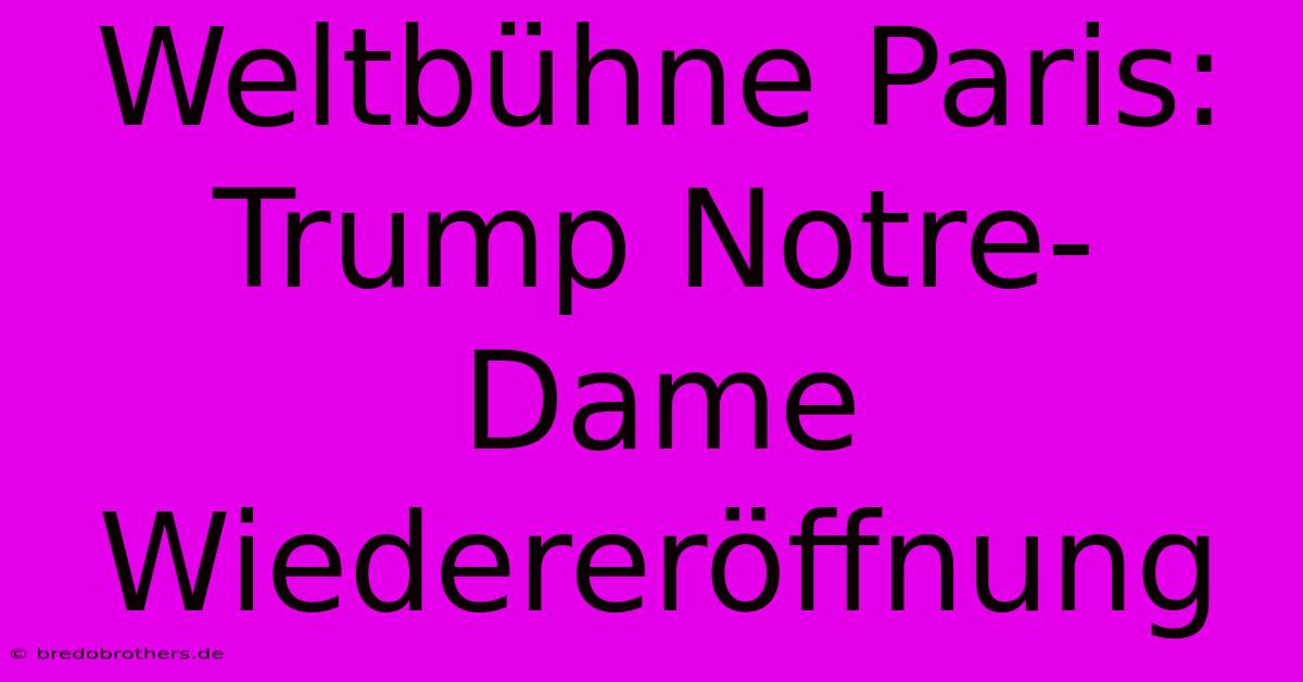 Weltbühne Paris: Trump Notre-Dame Wiedereröffnung