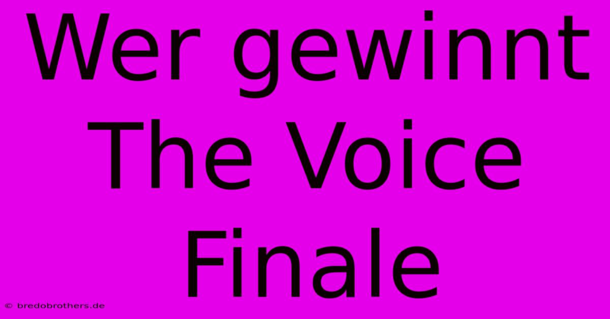 Wer Gewinnt The Voice Finale