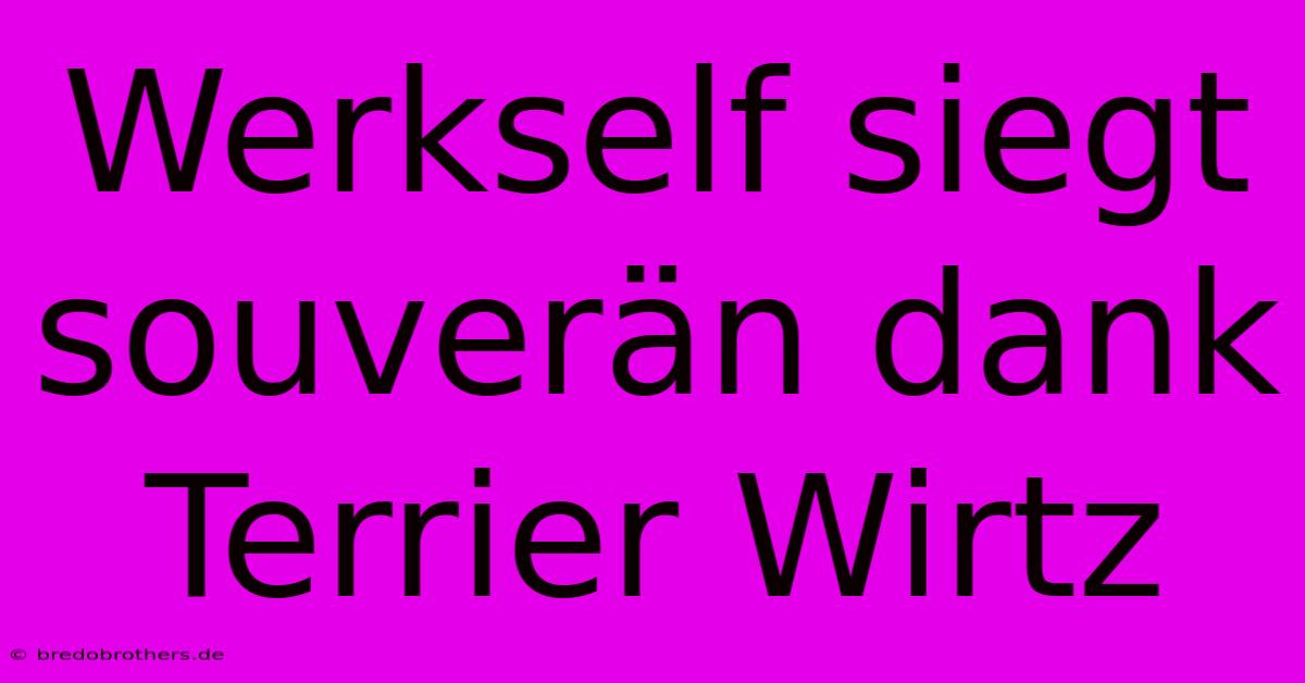 Werkself Siegt Souverän Dank Terrier Wirtz