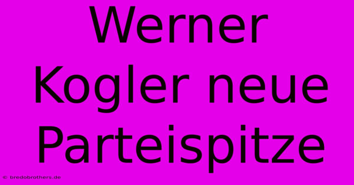 Werner Kogler Neue Parteispitze