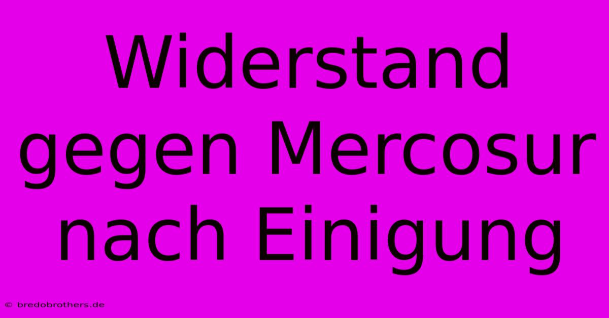 Widerstand Gegen Mercosur Nach Einigung