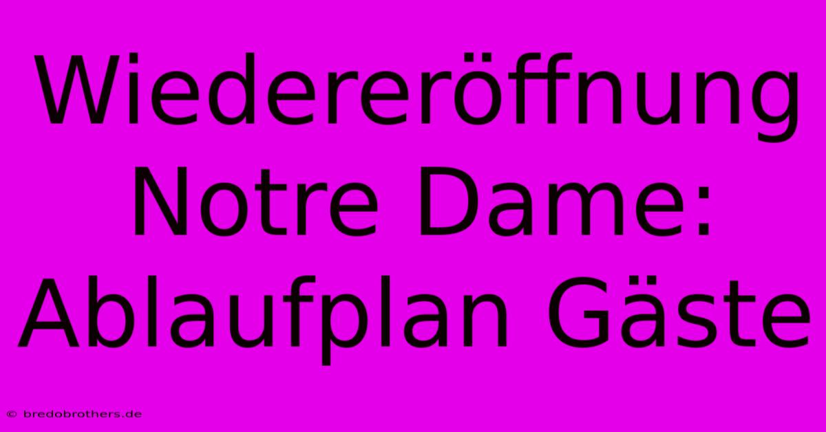 Wiedereröffnung Notre Dame: Ablaufplan Gäste