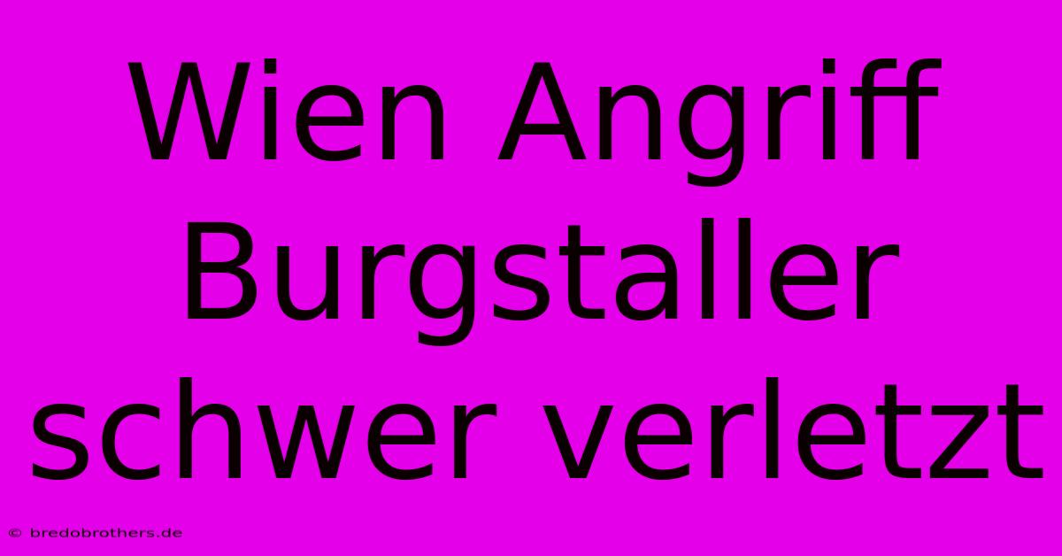 Wien Angriff Burgstaller Schwer Verletzt