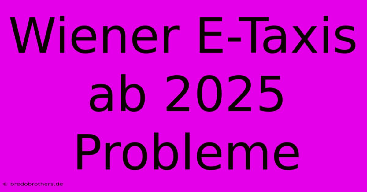 Wiener E-Taxis Ab 2025 Probleme