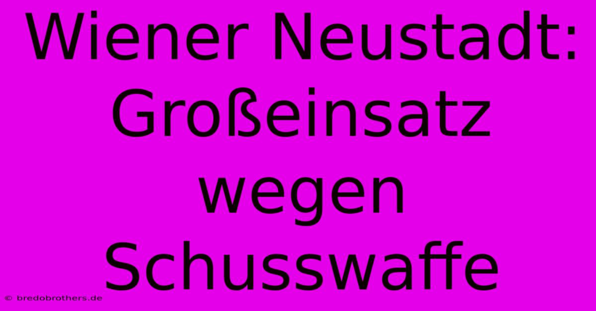 Wiener Neustadt: Großeinsatz Wegen Schusswaffe