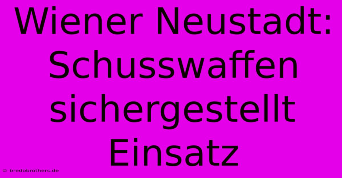 Wiener Neustadt: Schusswaffen Sichergestellt Einsatz