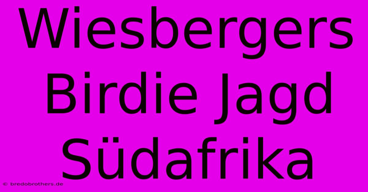 Wiesbergers Birdie Jagd Südafrika