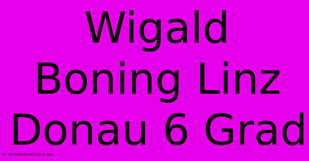 Wigald Boning Linz Donau 6 Grad