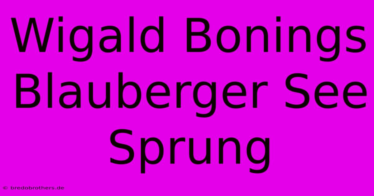 Wigald Bonings Blauberger See Sprung