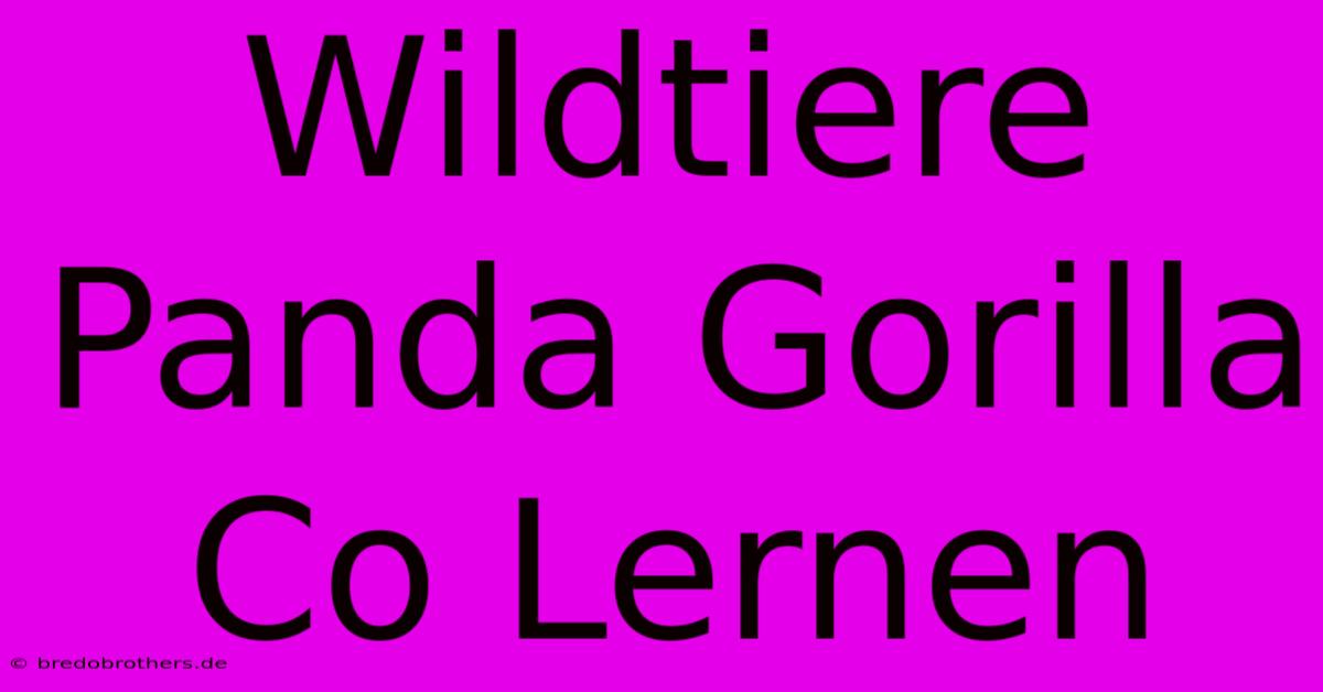 Wildtiere Panda Gorilla Co Lernen