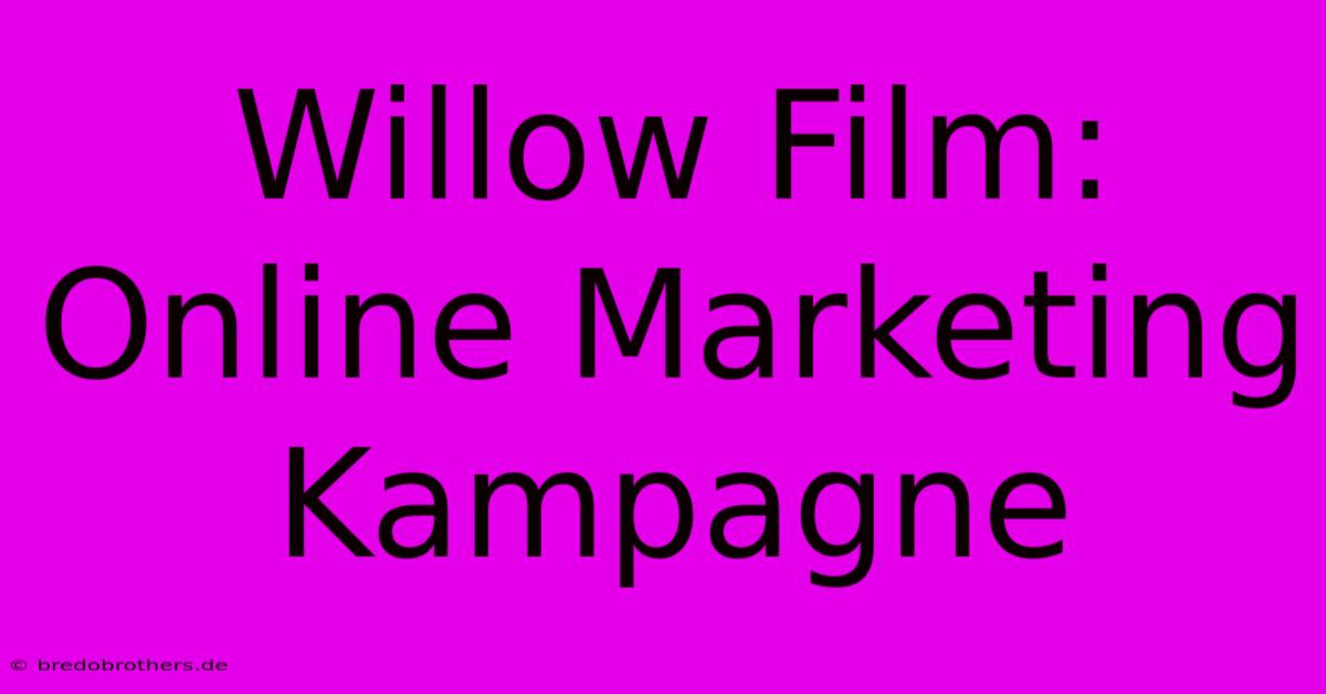 Willow Film: Online Marketing Kampagne