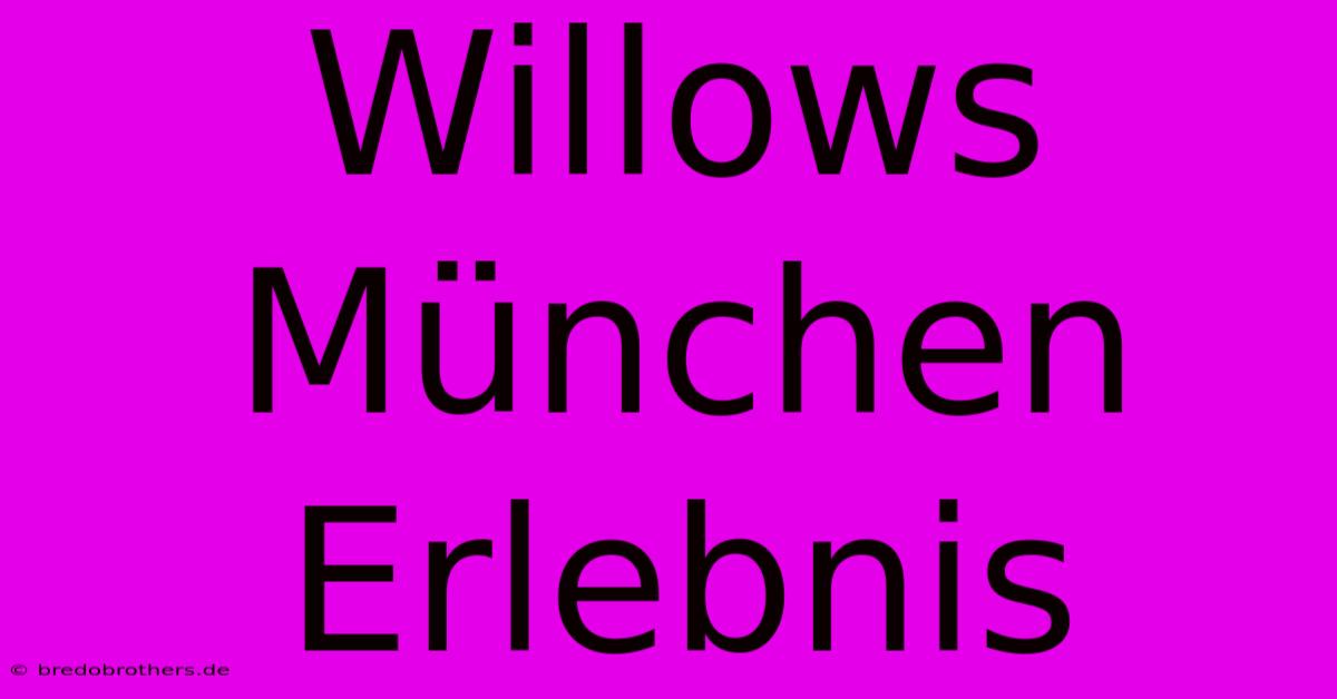 Willows München Erlebnis