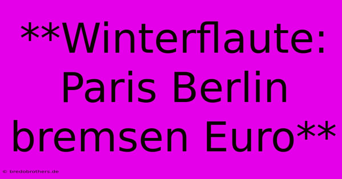 **Winterflaute: Paris Berlin Bremsen Euro**